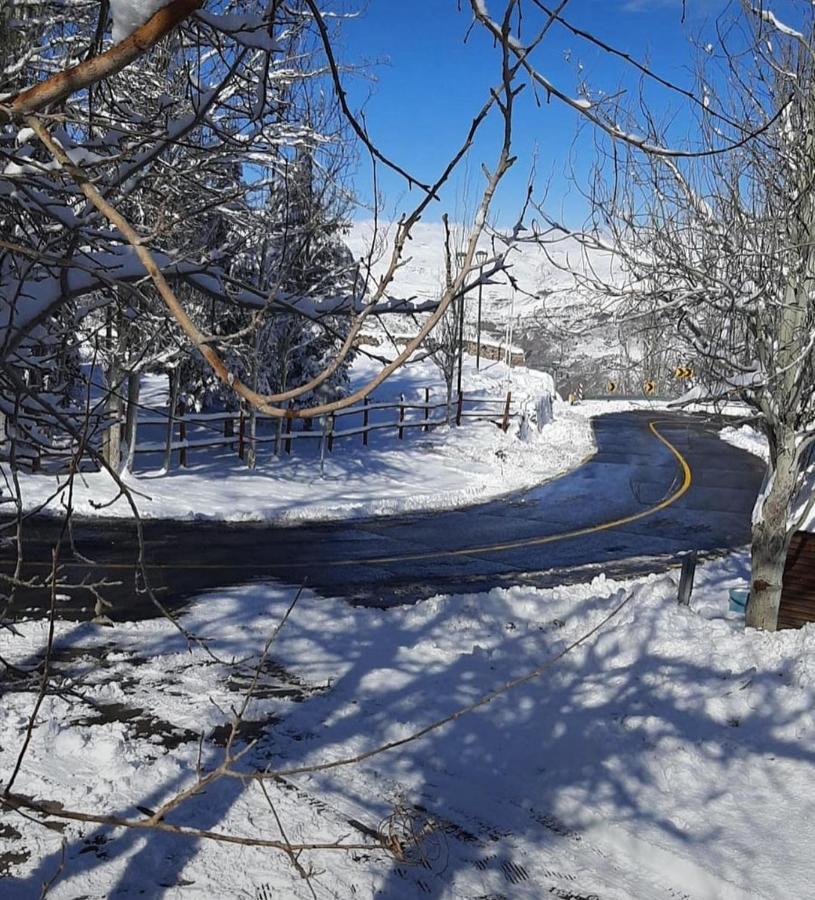 Hostal Boutique Cumbres Farellones Dış mekan fotoğraf