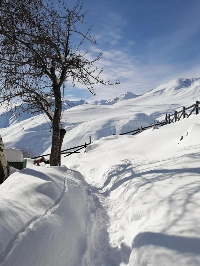 Hostal Boutique Cumbres Farellones Dış mekan fotoğraf