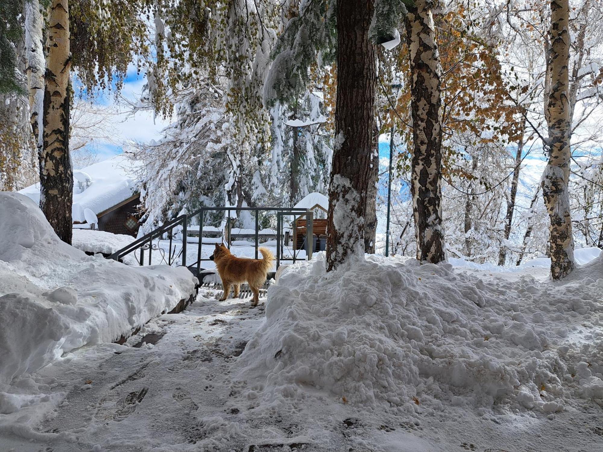 Hostal Boutique Cumbres Farellones Dış mekan fotoğraf