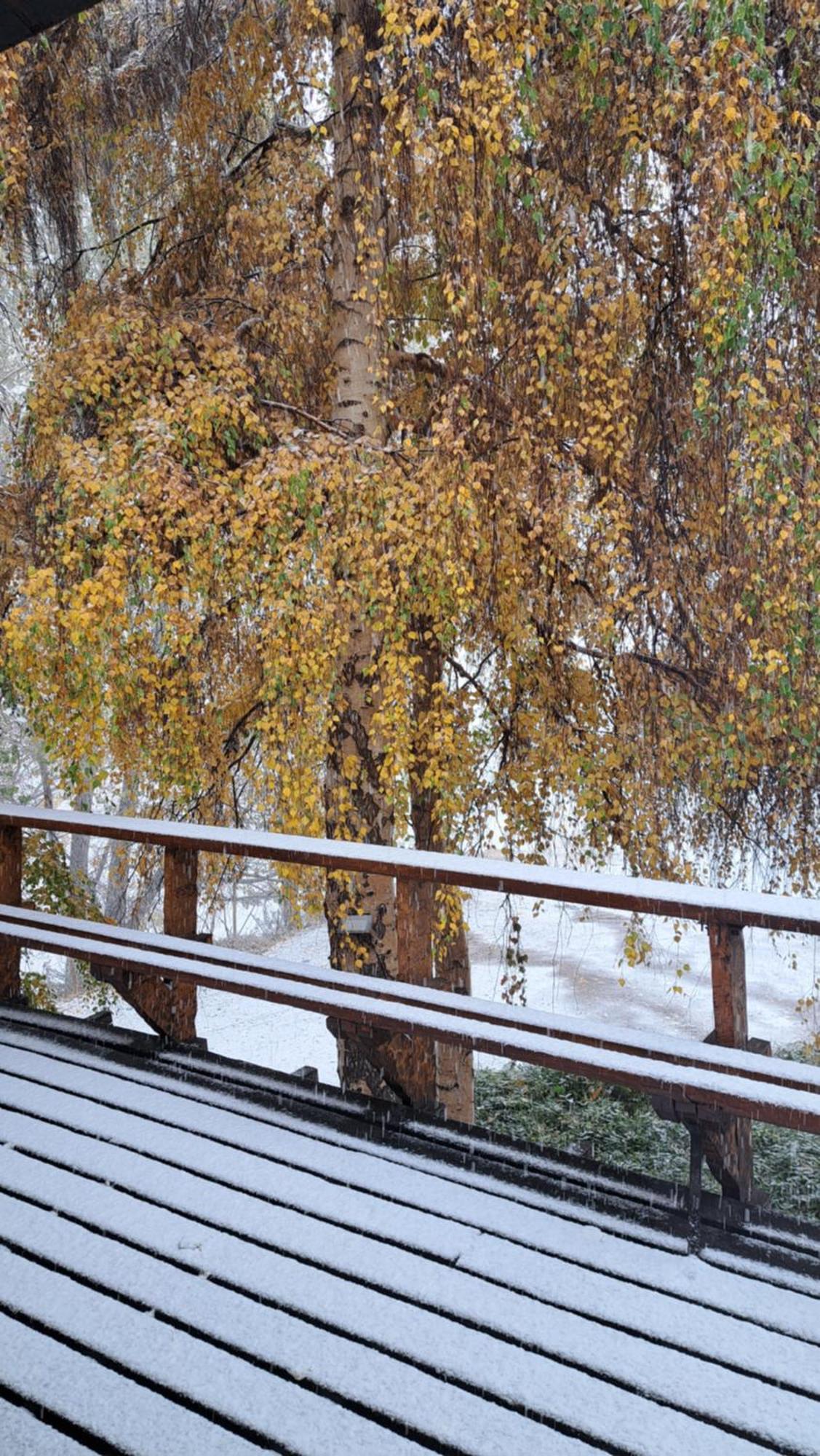 Hostal Boutique Cumbres Farellones Dış mekan fotoğraf